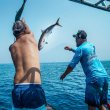 Морская Рыбалка в Алании