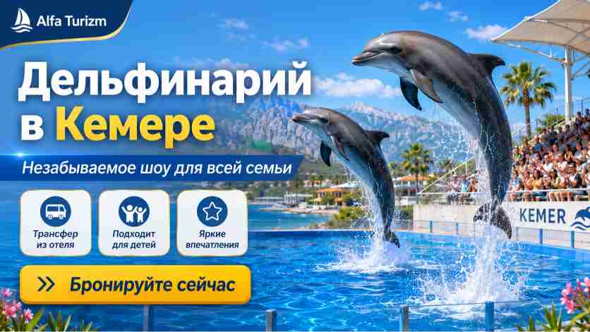 Дельфинарий в Кемере