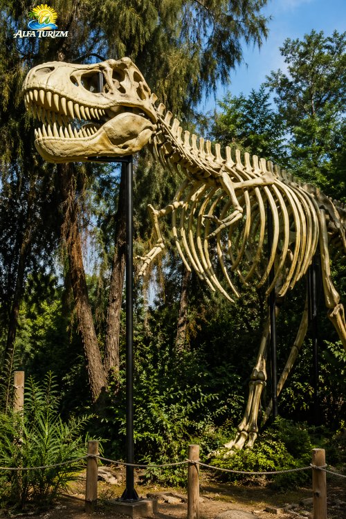 Экскурсия в Каньон Гейнюк + Динопарк Комбо