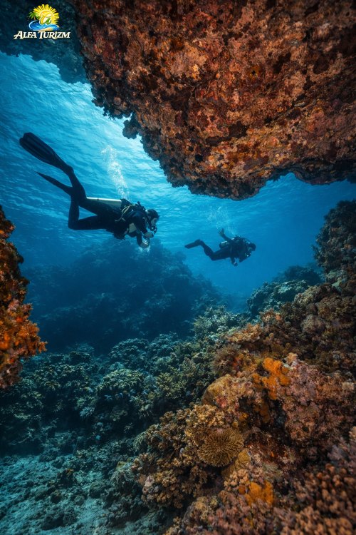 Дайвинг в Анталии