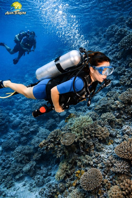 Дайвинг в Анталии