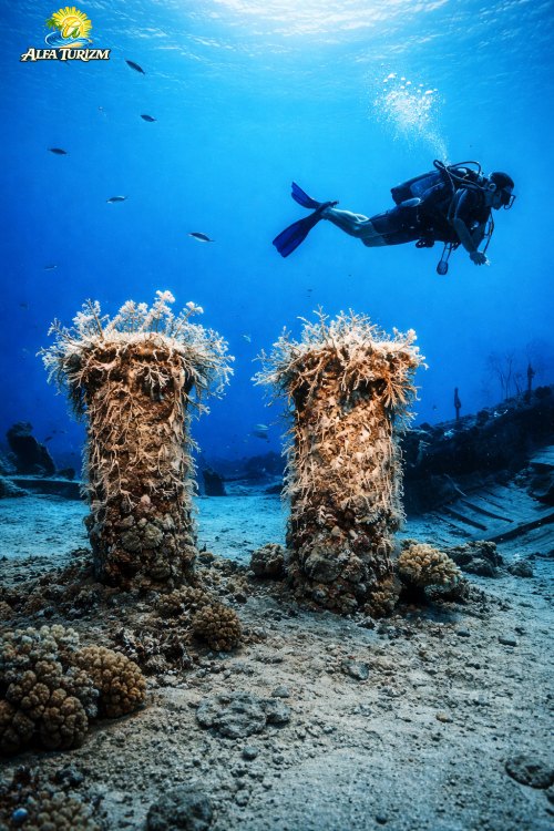 Дайвинг в Анталии