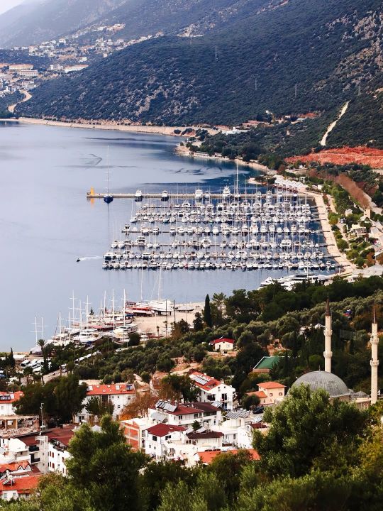 город каш город каш