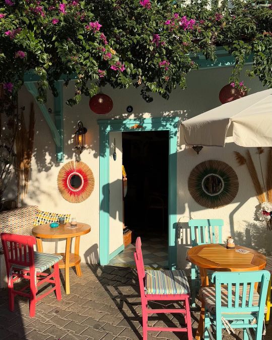 город каш город каш