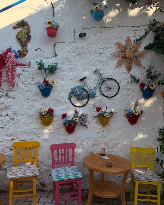 город каш город каш