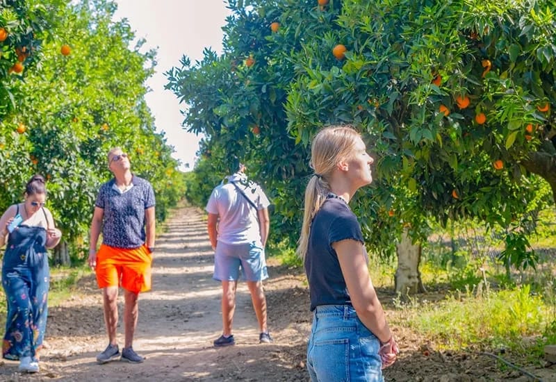 Микс Тур и Зоопарк в Сиде