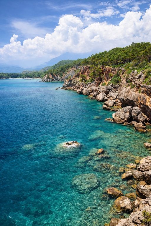 порто дженевиз 