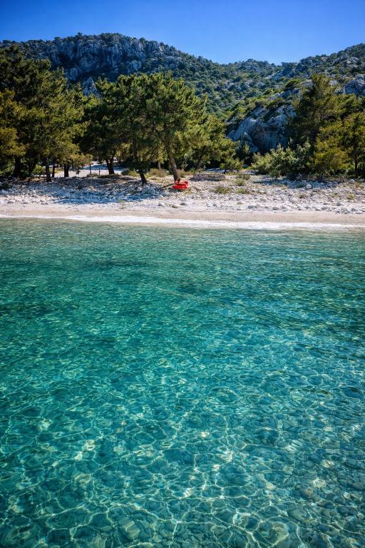 порто дженевиз 