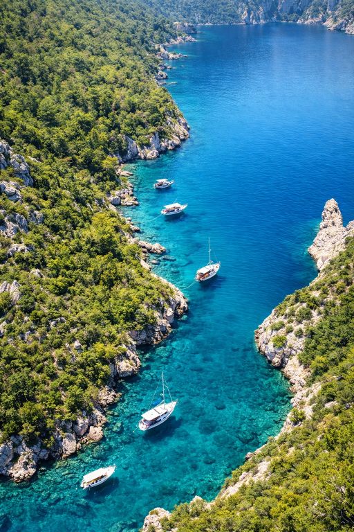 порто дженевиз 