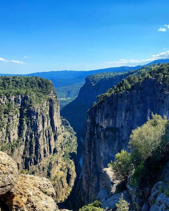 тазы каньон