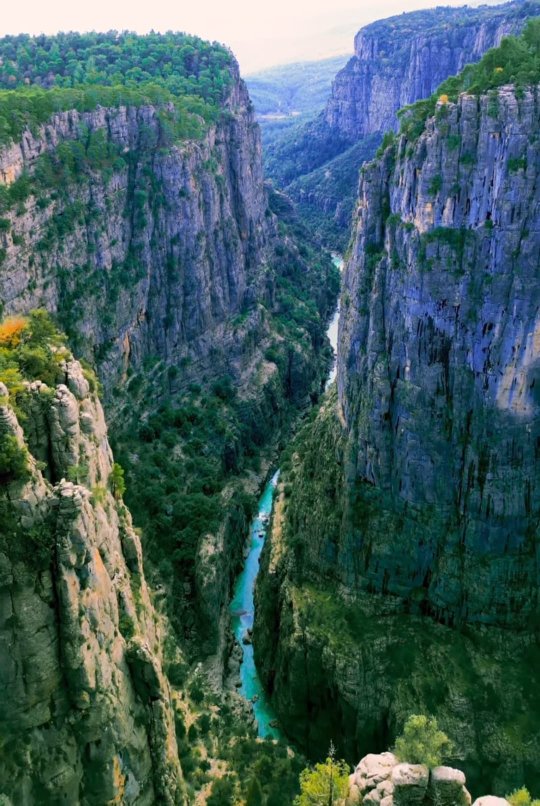 тазы каньон