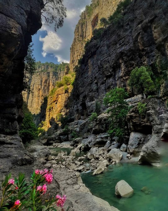 тазы каньон