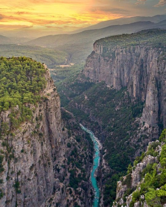 тазы каньон