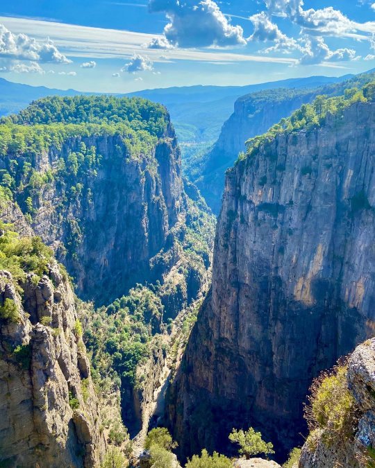 тазы каньон