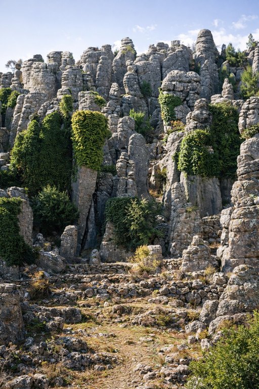 Адам Каялар