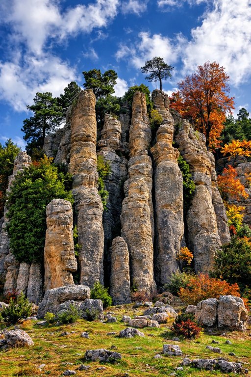 Адам Каялар