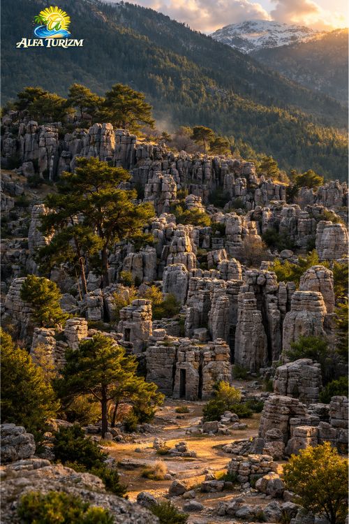 Адам Каялар