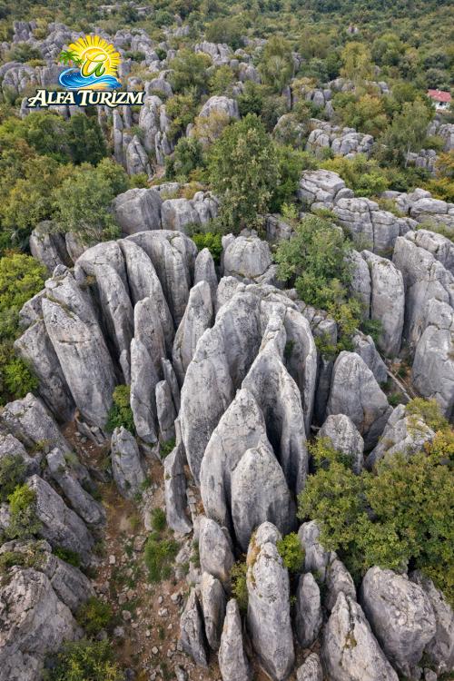 Адам Каялар